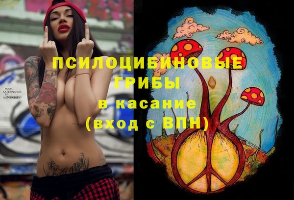 таблы Вяземский