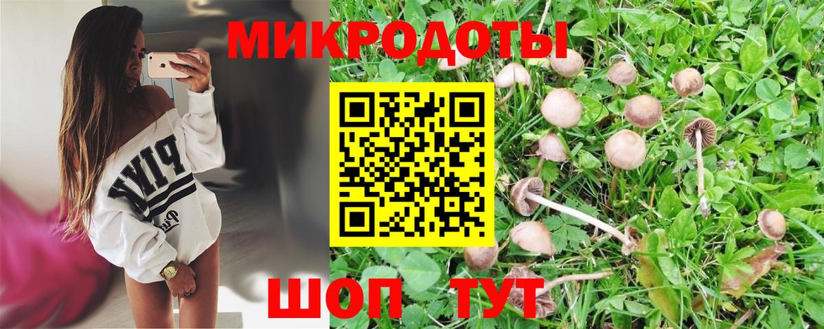 Псилоцибиновые грибы мицелий  Вход с VPN  Благовещенск 