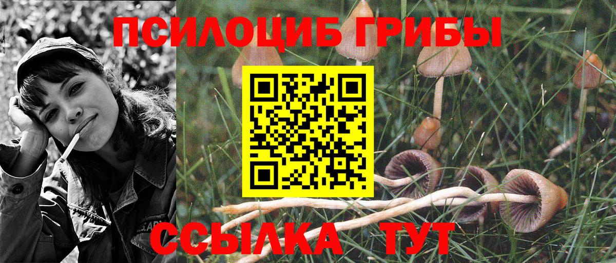 Галлюциногенные грибы Magic Shrooms Благовещенск