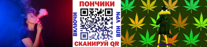 Бошки Шишки THC 21%  купить наркотики цена  Благовещенск 